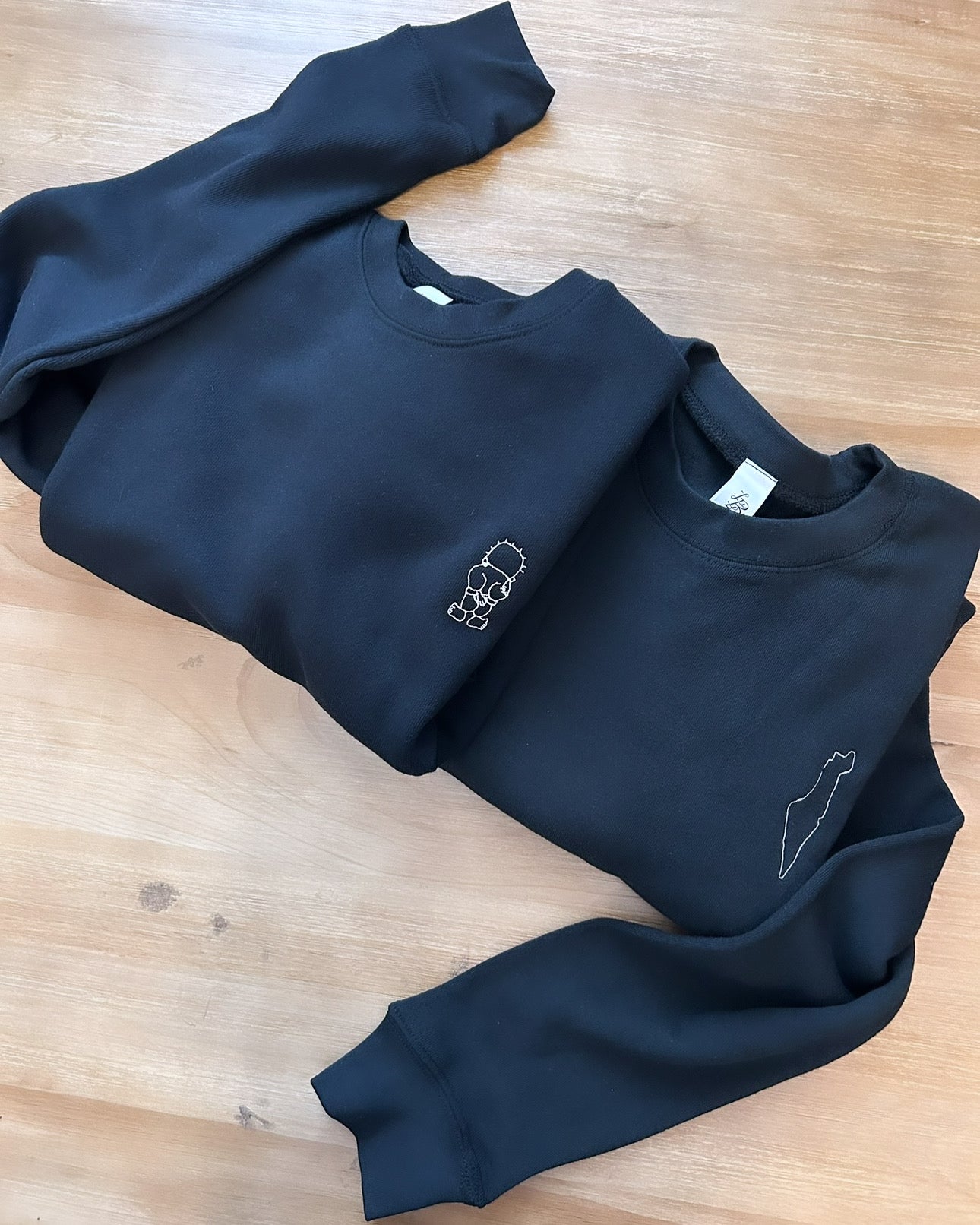 Palestine Map Outline Embroidered Crewneck